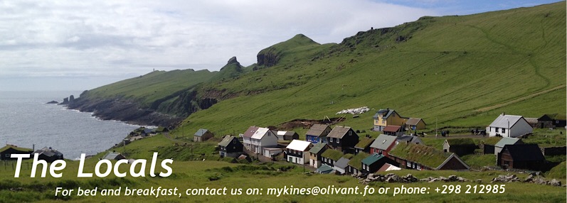 Mykines Bygd seen from the Infield